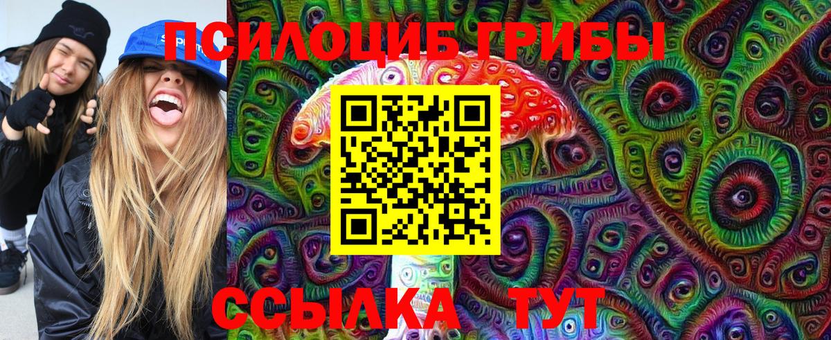 Котовск  Галлюциногенные грибы Psilocybine cubensis  Вход с VPN  Псилоцибиновые грибы Magic Shrooms 