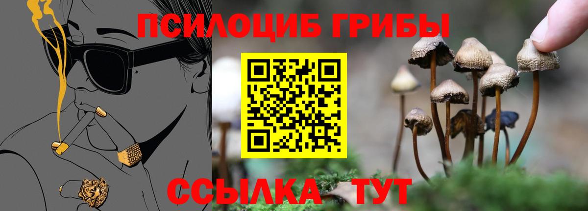 Псилоцибиновые грибы прущие грибы Котовск