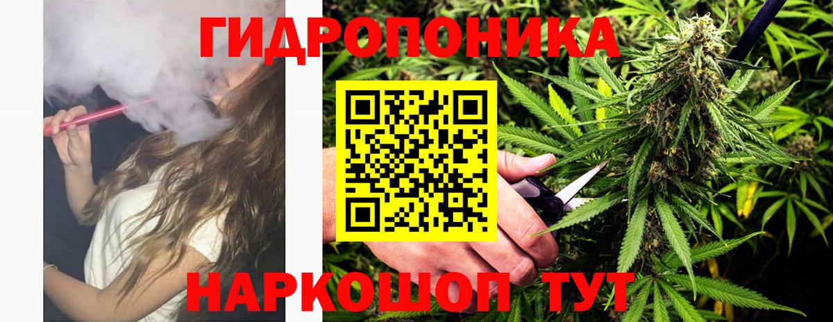 Марихуана план  Шишки марихуана планчик  Котовск  Бошки марихуана MAZAR 